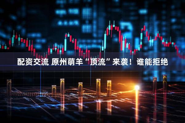 配资交流 原州萌羊“顶流”来袭！谁能拒绝