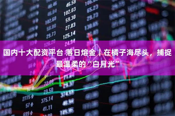 国内十大配资平台 落日熔金｜在橘子海尽头，捕捉最温柔的“白月光”